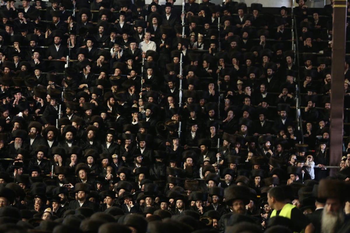 צפו: רבבות חוגגים בחתונת נכד האדמו"ר מבעלזא