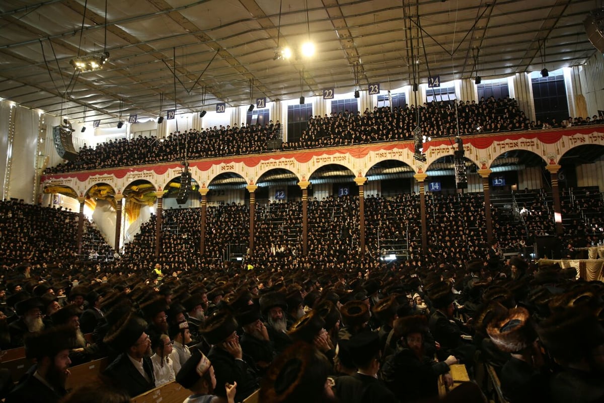 צפו: רבבות חוגגים בחתונת נכד האדמו"ר מבעלזא