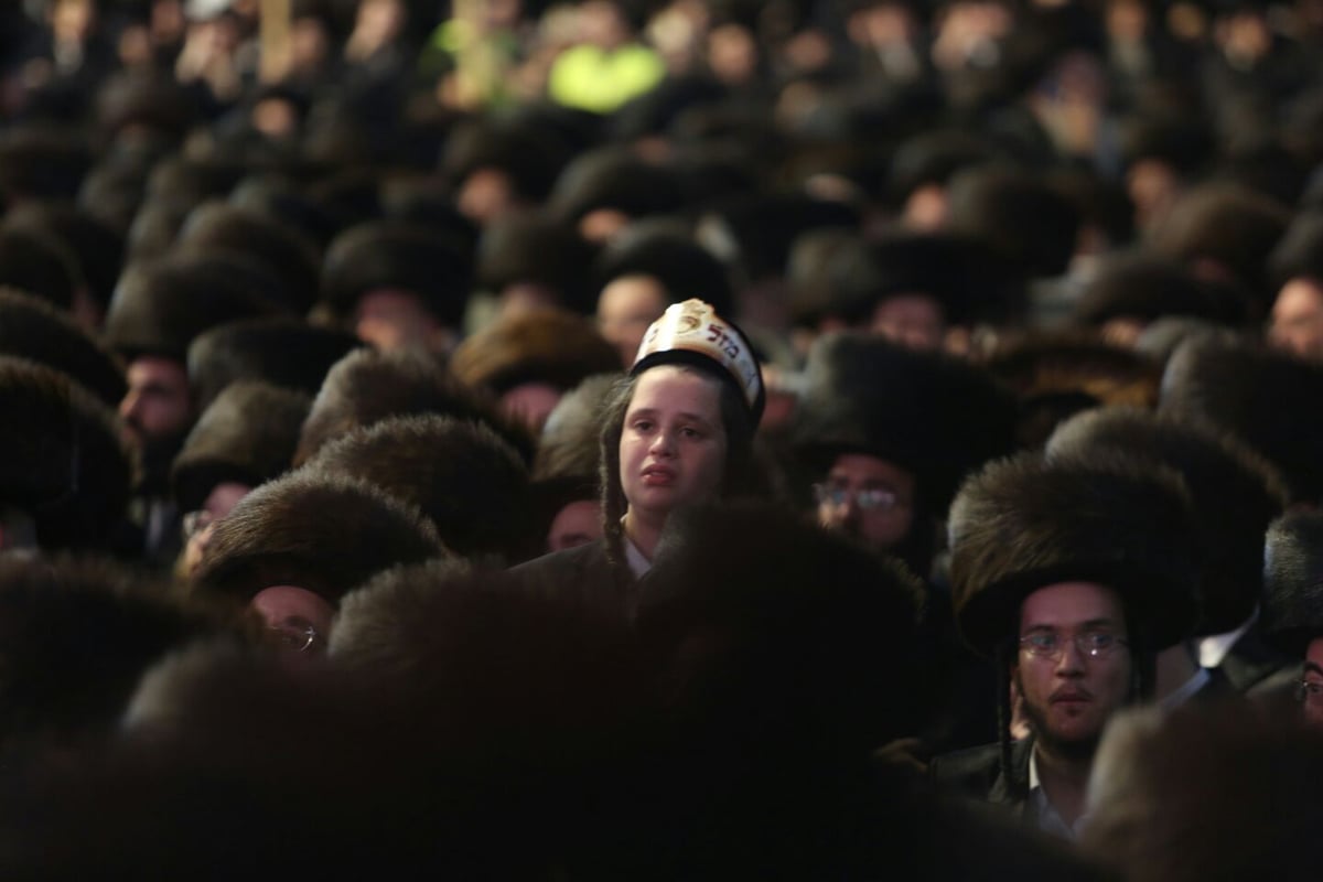 צפו: רבבות חוגגים בחתונת נכד האדמו"ר מבעלזא