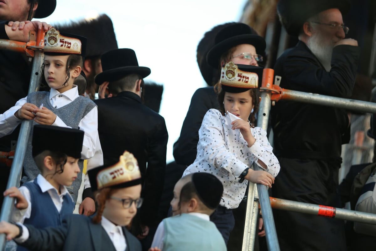 צפו: רבבות חוגגים בחתונת נכד האדמו"ר מבעלזא