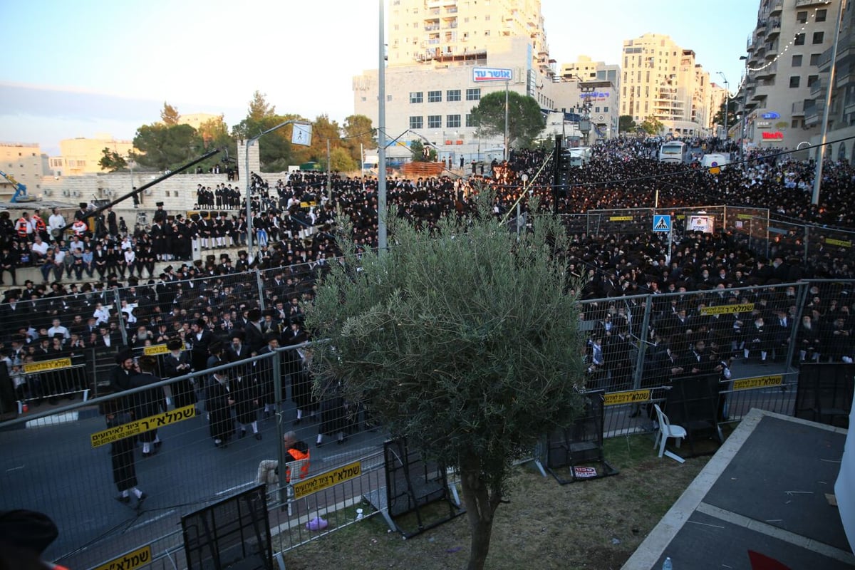 צפו: רבבות חוגגים בחתונת נכד האדמו"ר מבעלזא