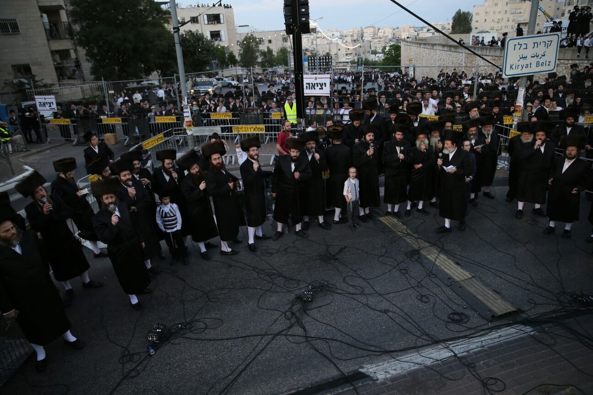 צפו: רבבות חוגגים בחתונת נכד האדמו"ר מבעלזא