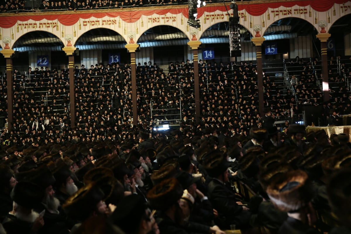 צפו: רבבות חוגגים בחתונת נכד האדמו"ר מבעלזא