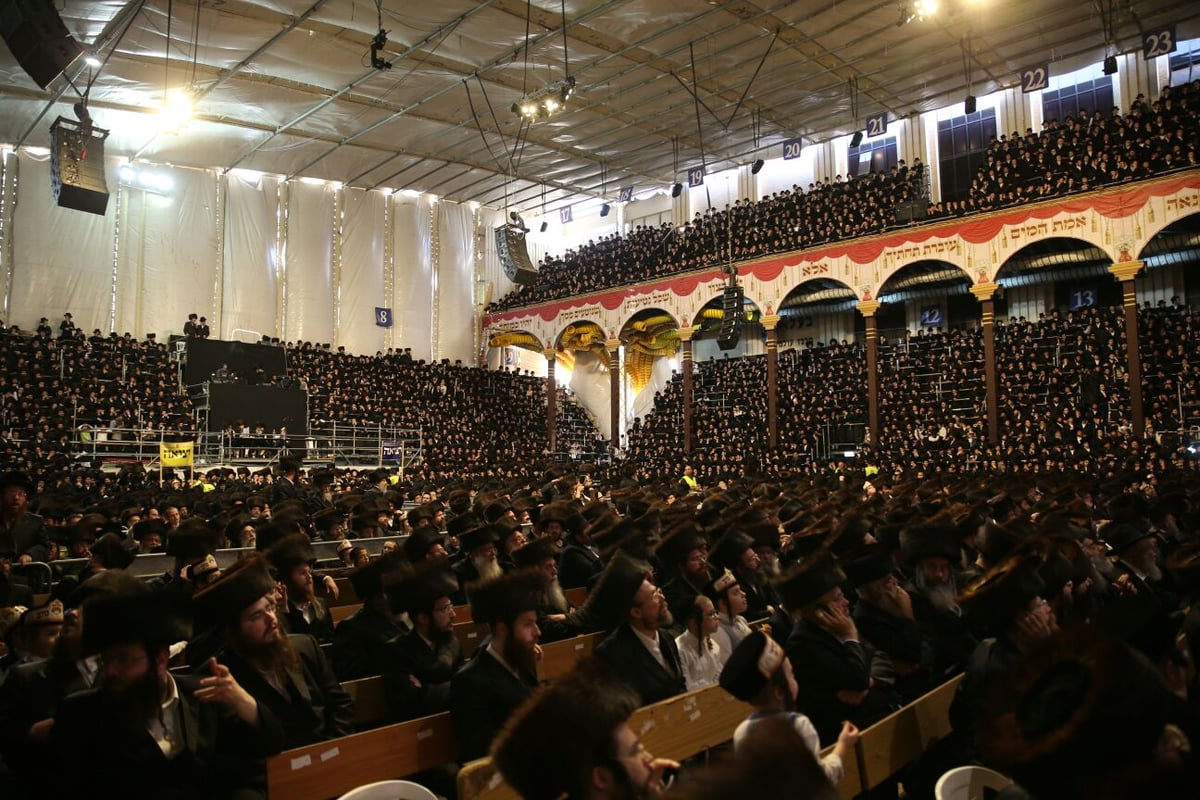 צפו: רבבות חוגגים בחתונת נכד האדמו"ר מבעלזא