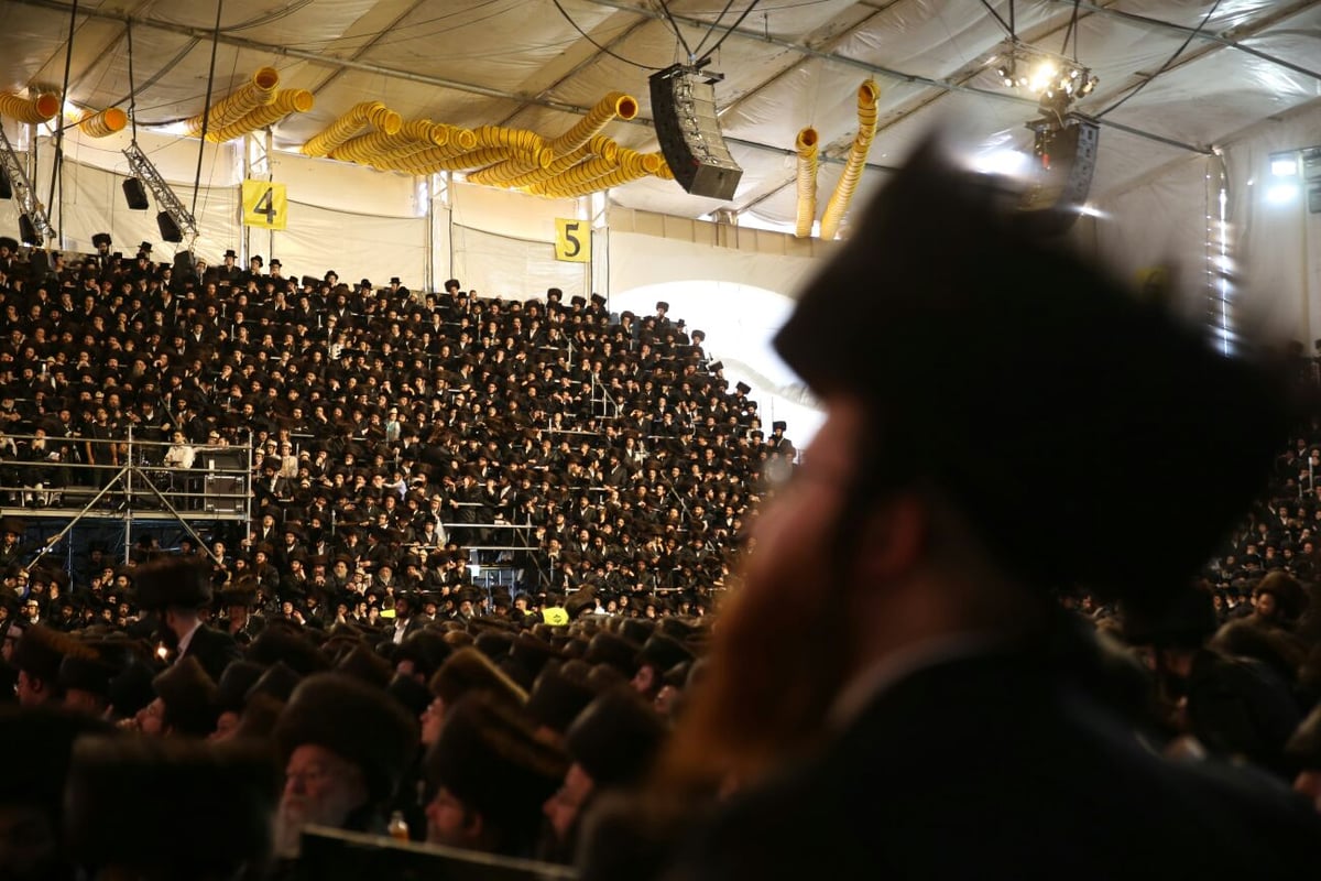 צפו: רבבות חוגגים בחתונת נכד האדמו"ר מבעלזא