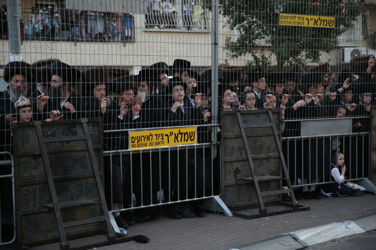 צפו: רבבות חוגגים בחתונת נכד האדמו"ר מבעלזא