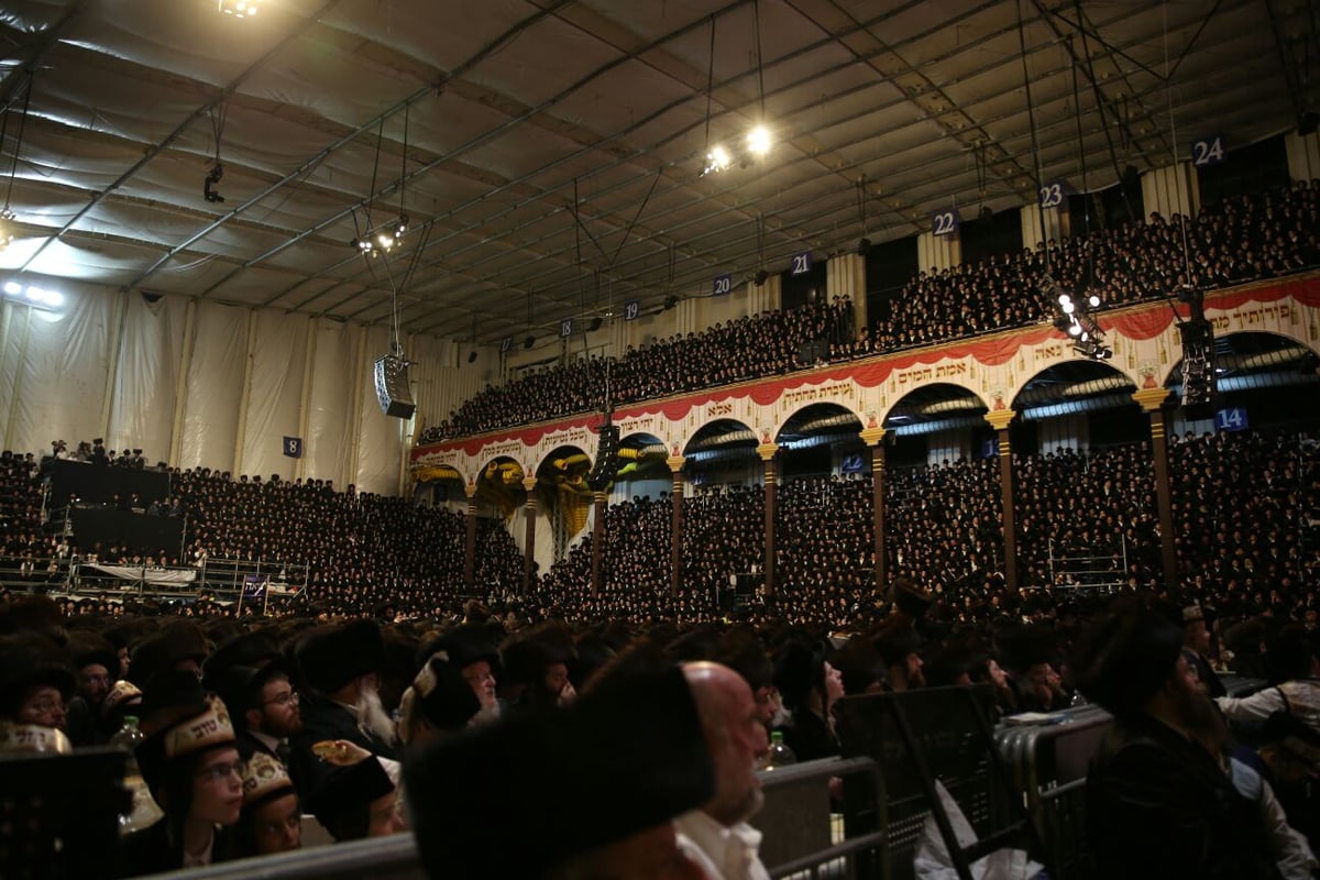 צפו: רבבות חוגגים בחתונת נכד האדמו"ר מבעלזא