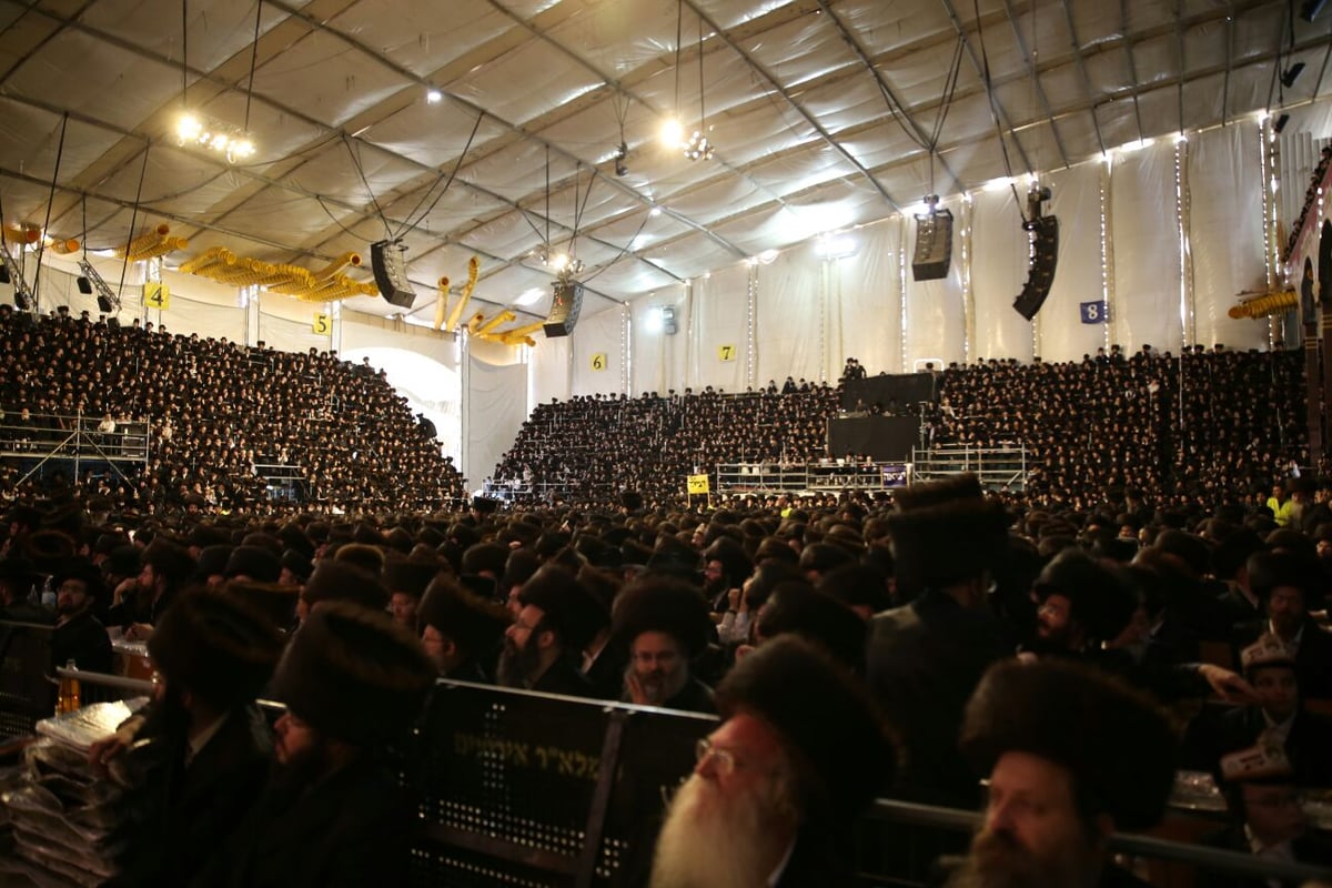 צפו: רבבות חוגגים בחתונת נכד האדמו"ר מבעלזא