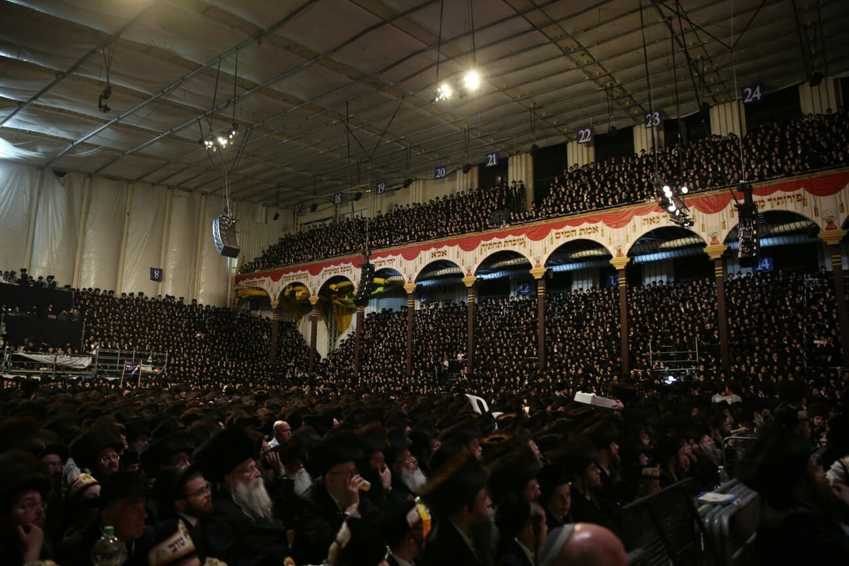 צפו: רבבות חוגגים בחתונת נכד האדמו"ר מבעלזא