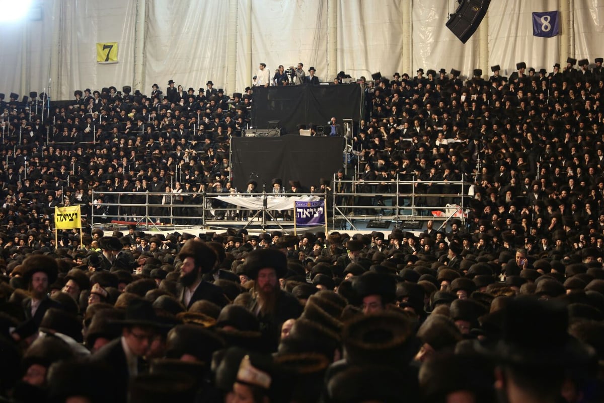 צפו: רבבות חוגגים בחתונת נכד האדמו"ר מבעלזא