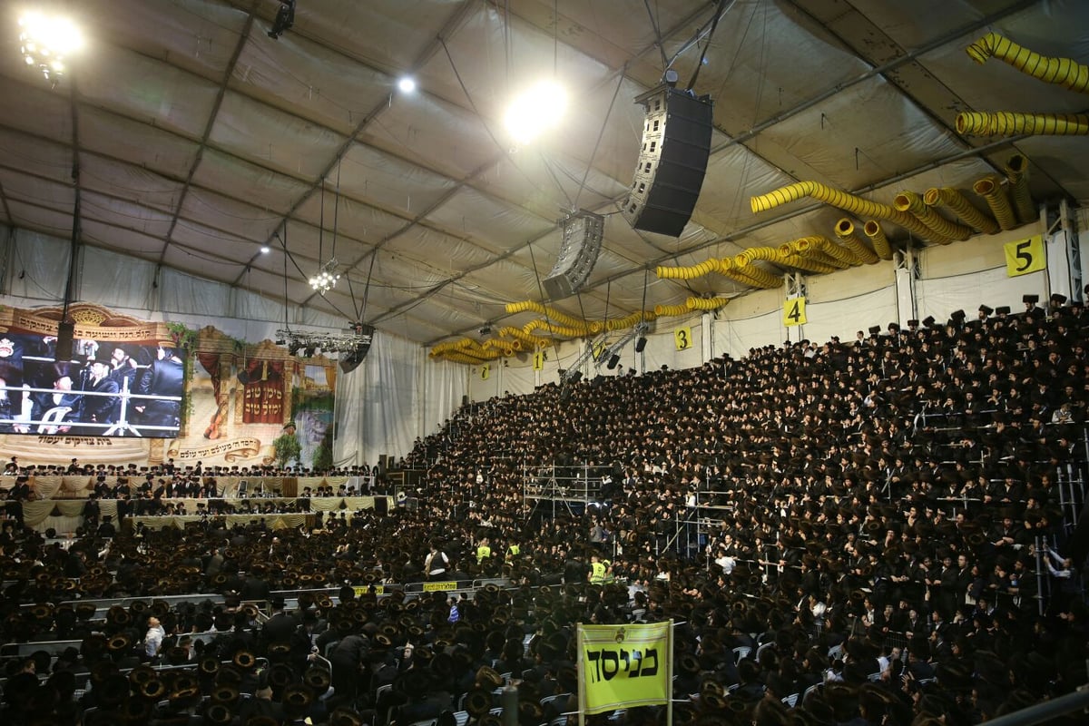 צפו: רבבות חוגגים בחתונת נכד האדמו"ר מבעלזא