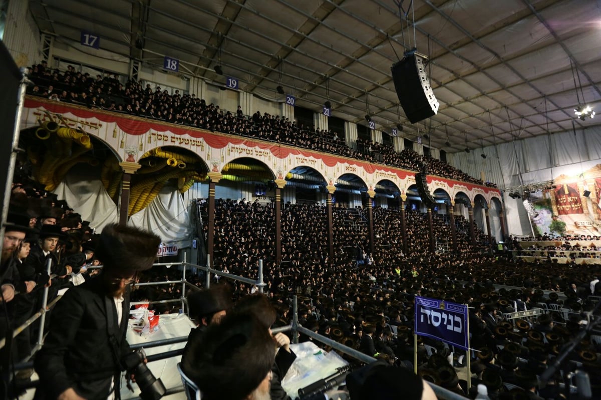 צפו: רבבות חוגגים בחתונת נכד האדמו"ר מבעלזא