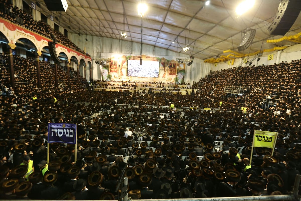 צפו: רבבות חוגגים בחתונת נכד האדמו"ר מבעלזא