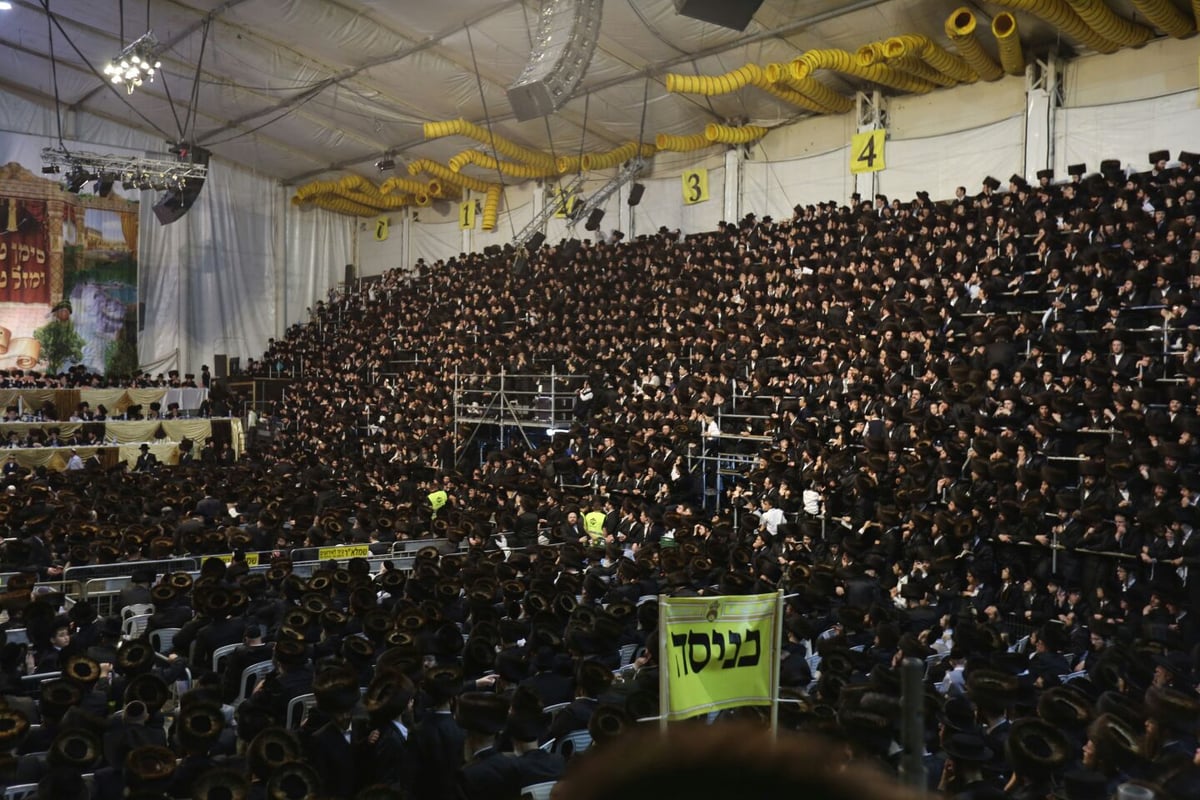 צפו: רבבות חוגגים בחתונת נכד האדמו"ר מבעלזא