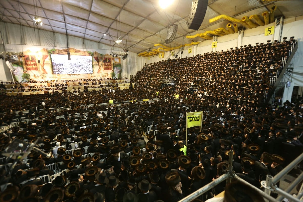 צפו: רבבות חוגגים בחתונת נכד האדמו"ר מבעלזא