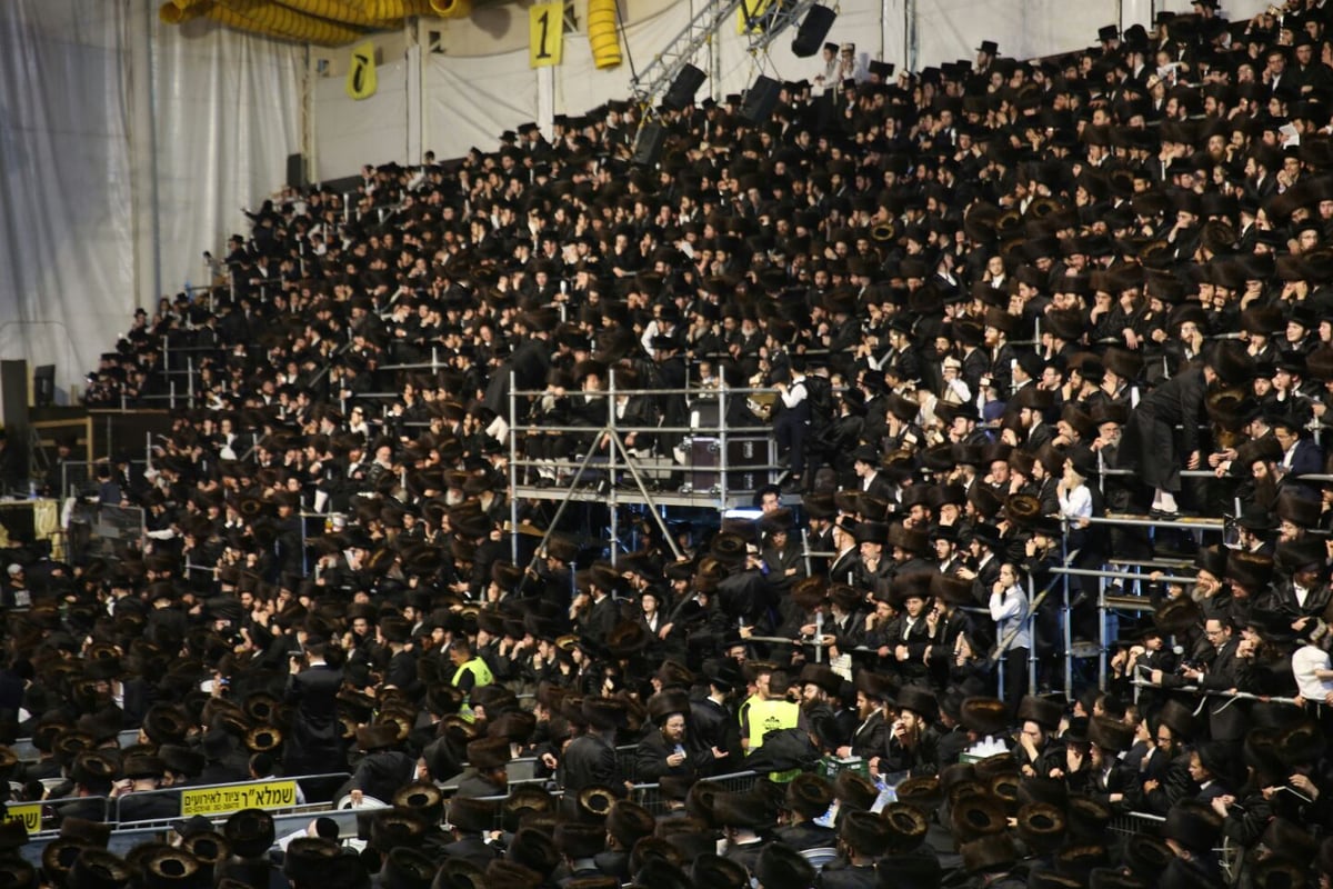 צפו: רבבות חוגגים בחתונת נכד האדמו"ר מבעלזא