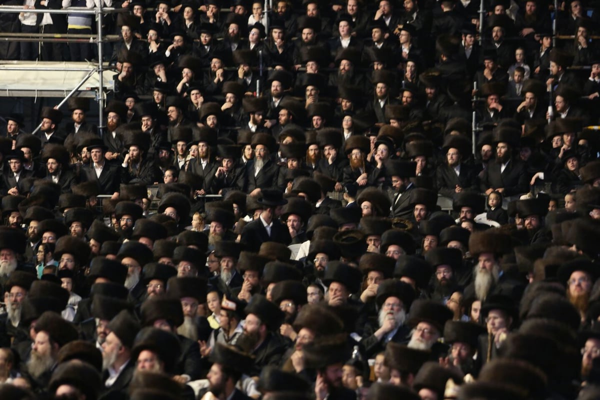 האדמו"ר מגור והגר"ש כהן השתתפו בשמחת בית בעלזא