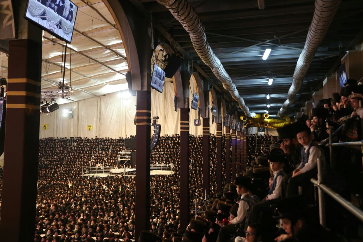 האדמו"ר מגור והגר"ש כהן השתתפו בשמחת בית בעלזא