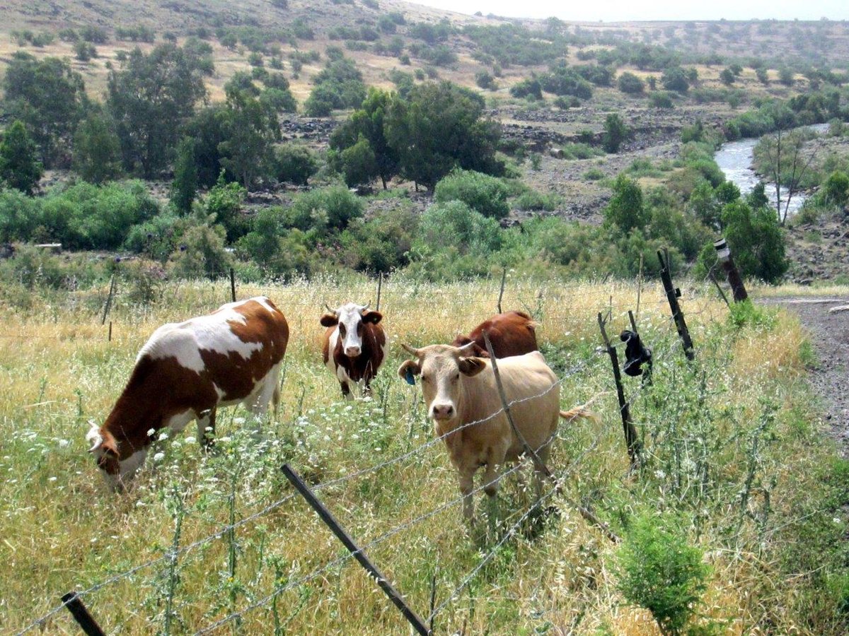 הירדן ההררי