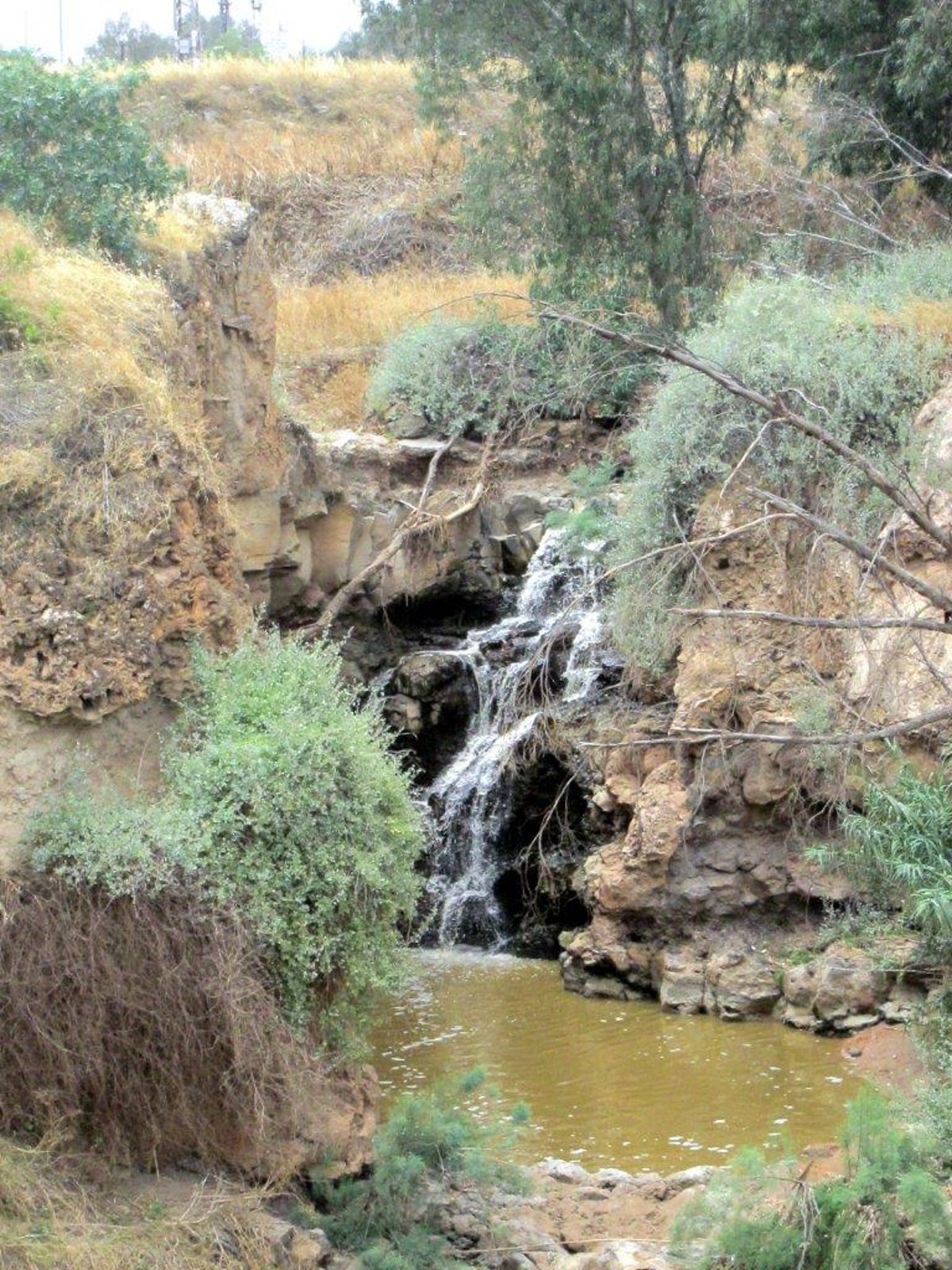 טיול מצולם לנופי הגליל התחתון ועמק הירדן