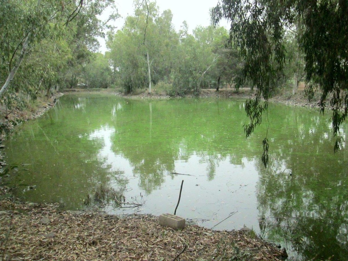 טיול מצולם לנופי הגליל התחתון ועמק הירדן