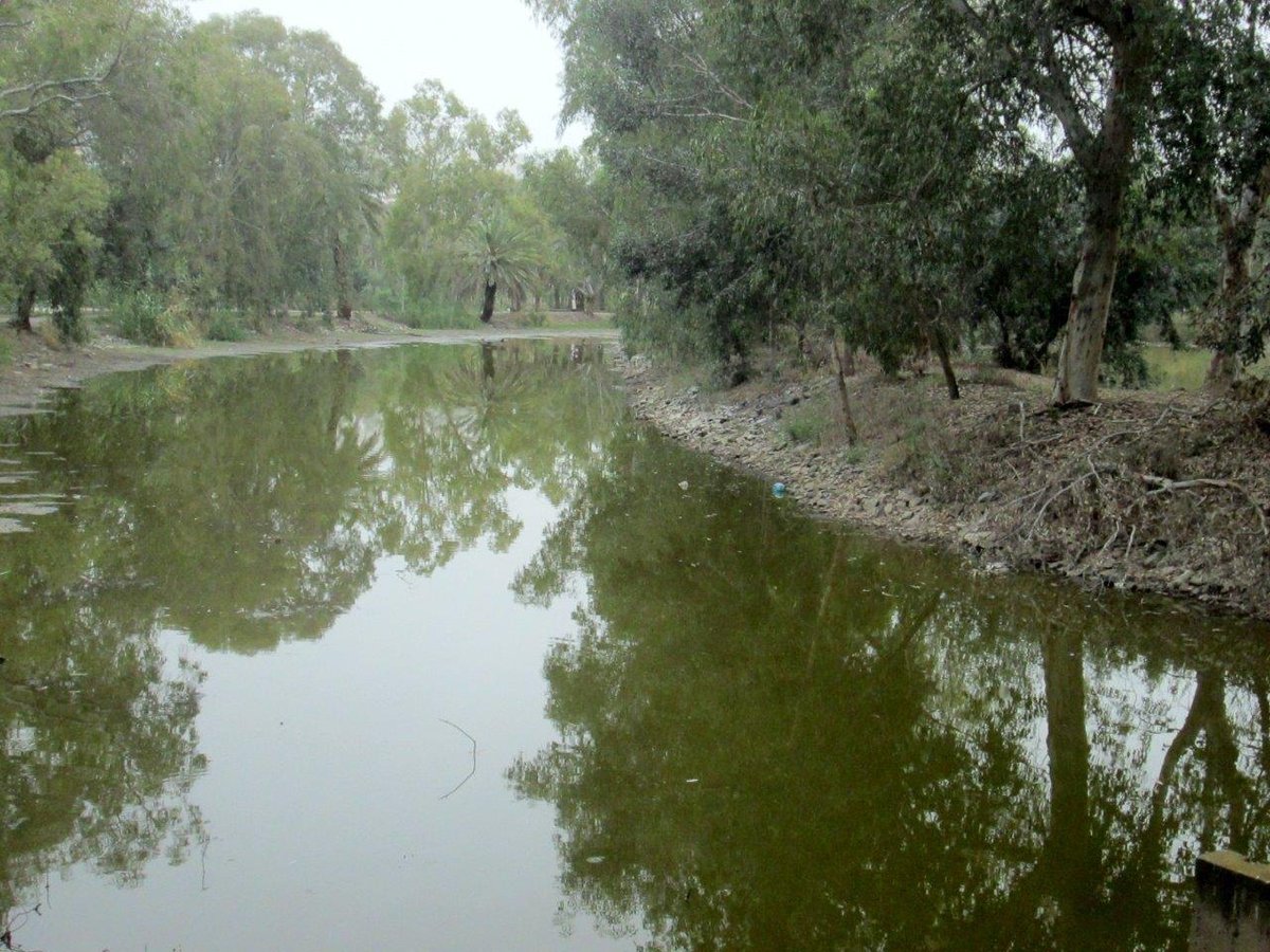 טיול מצולם לנופי הגליל התחתון ועמק הירדן