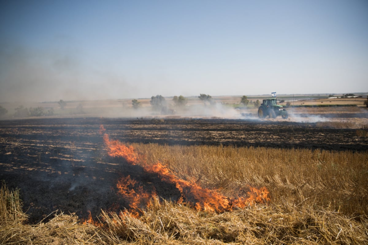 נאבקים באש:  כך נראה  טרור העפיפונים. צפו