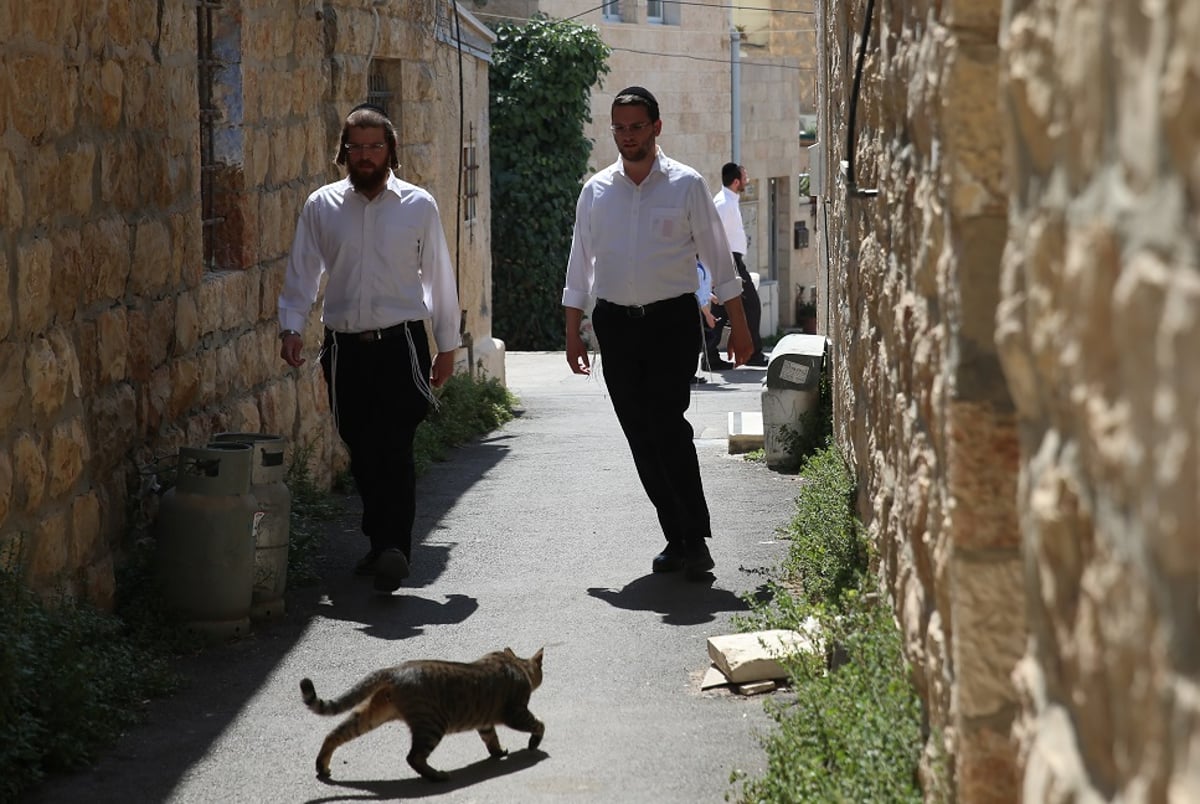 נחלאות: מדת"לים ועד נשות שאלים • גלריה