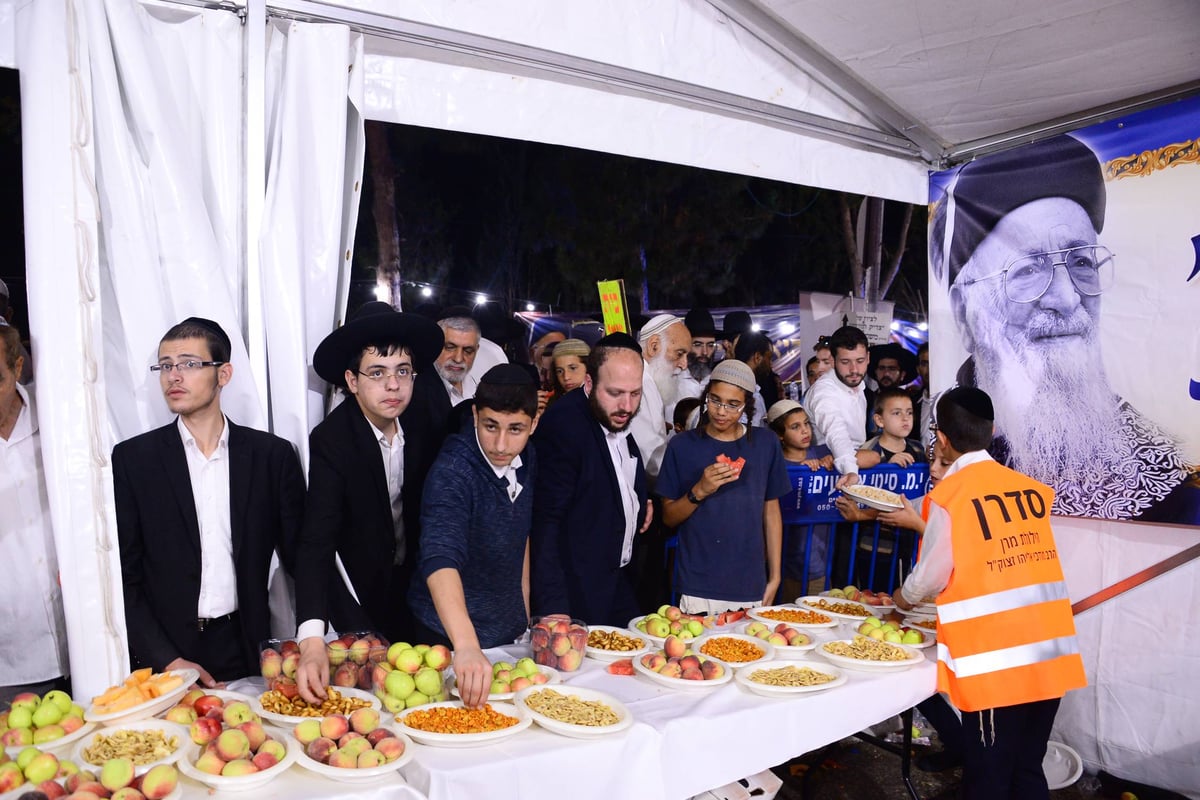 גלריה: הילולת מרן הרב מרדכי אליהו זצוק"ל