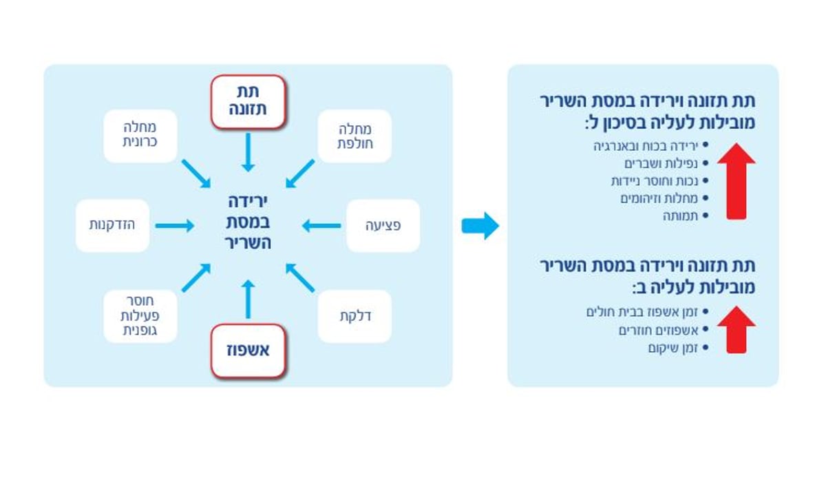 לפי המחקר הקשר בין תזונה וירידה בתפקוד הגופני.