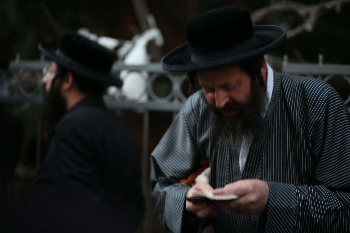 בושה: הקיצונים ביזו את הגר"ב סולובייצ'יק