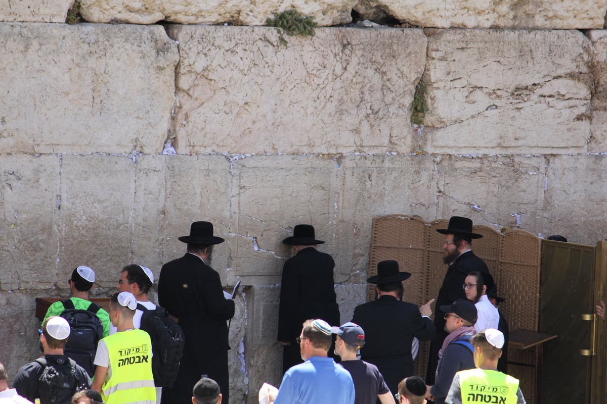 לפני הר הזיתים: האדמו"ר מגור התפלל בכותל המערבי