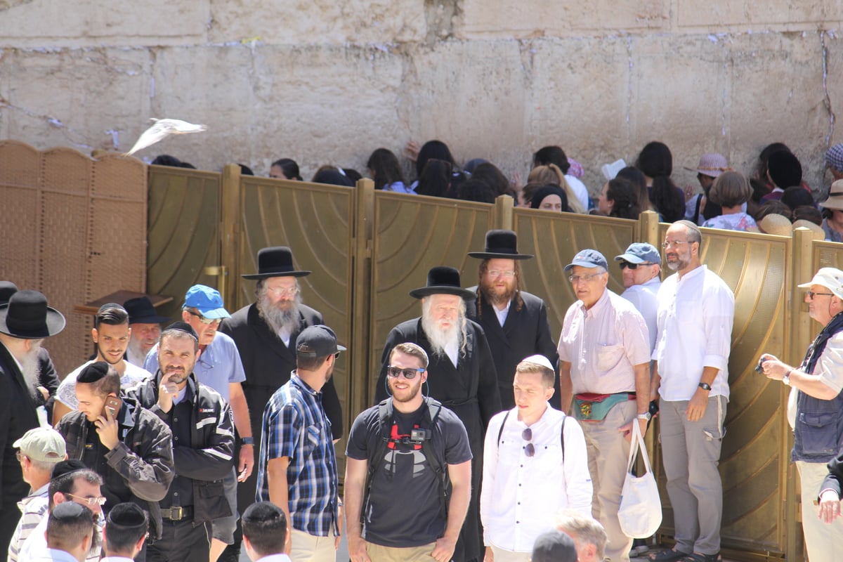 לפני הר הזיתים: האדמו"ר מגור התפלל בכותל המערבי