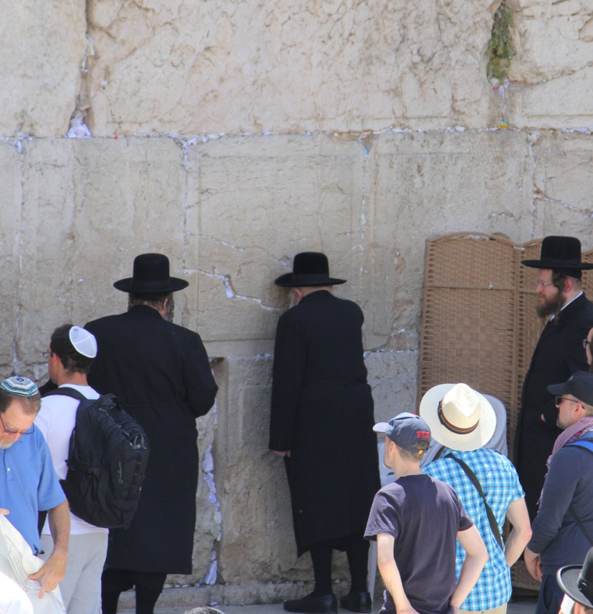 לפני הר הזיתים: האדמו"ר מגור התפלל בכותל המערבי