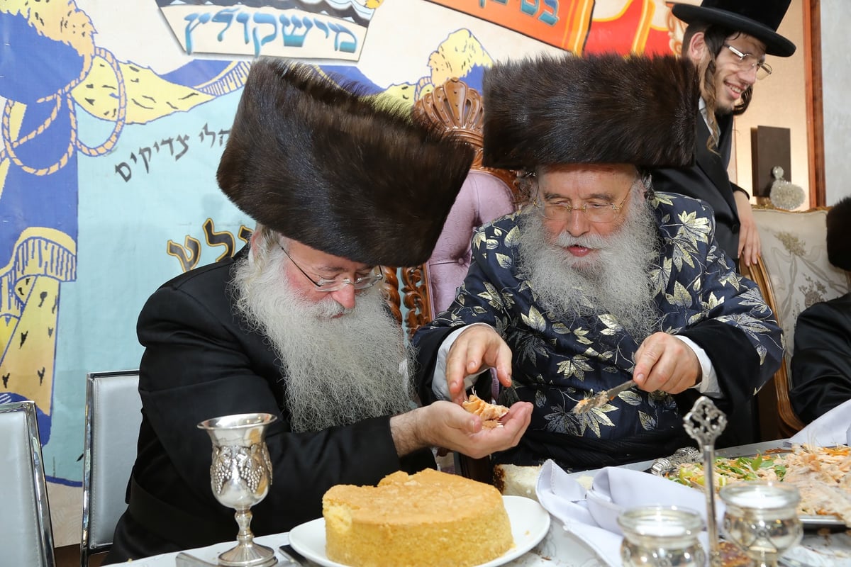 שמחת בית מישקולץ: חתונת נכד האדמו"ר