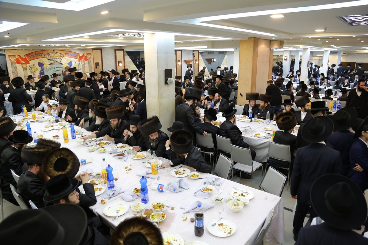 שמחת בית מישקולץ: חתונת נכד האדמו"ר