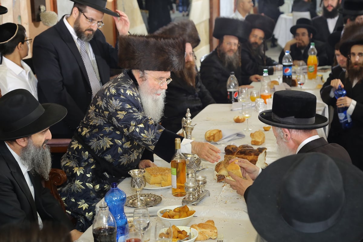 שמחת בית מישקולץ: חתונת נכד האדמו"ר