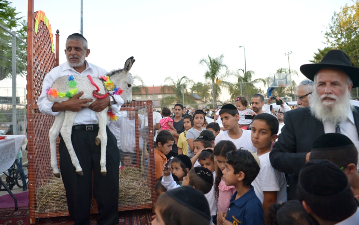 מצווה נדירה: פטר חמור במושב אחיעזר