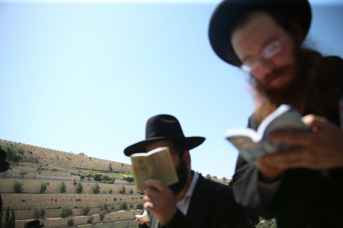 הילולת ה'אור החיים' בהר הזיתים • גלריה