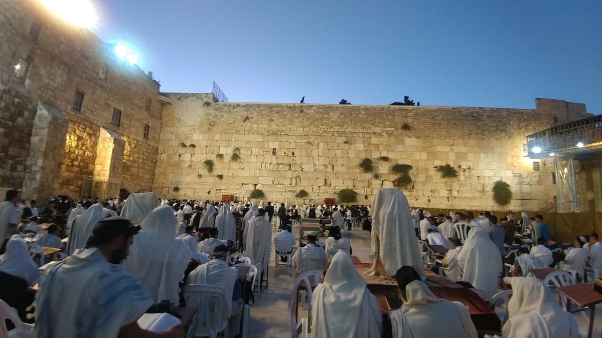 רחבת הכותל המערבי, הבוקר - הומה במתפללים