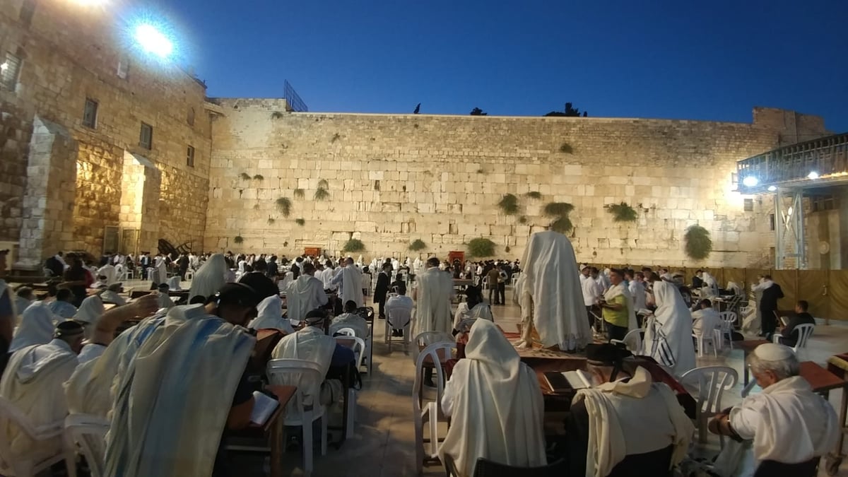 רחבת הכותל המערבי, הבוקר - הומה במתפללים