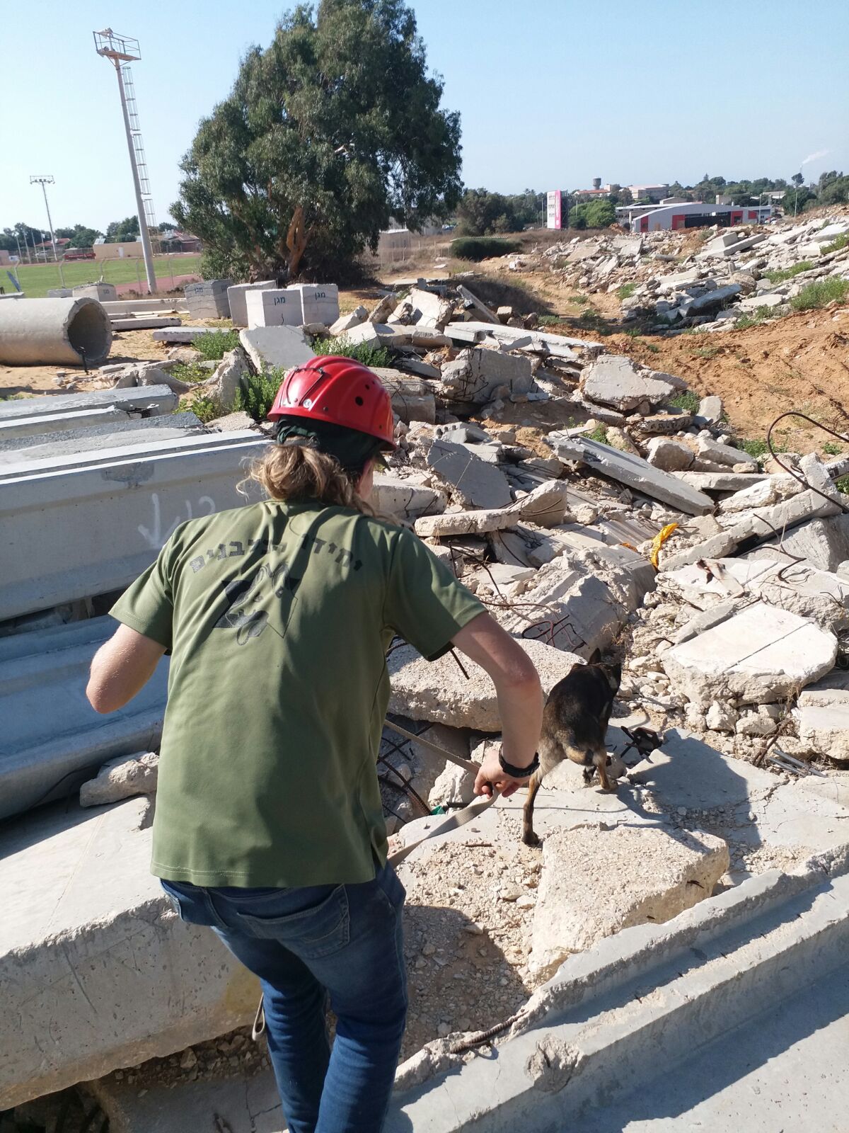 כלבי ההצלה לומדים לחפש לכודים בהריסות