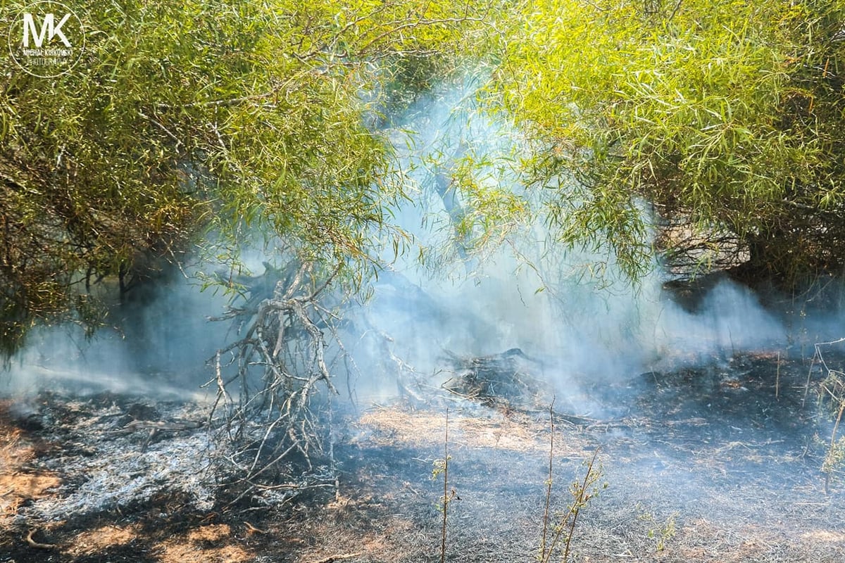 התיעוד העצוב של טרור העפיפונים • צפו