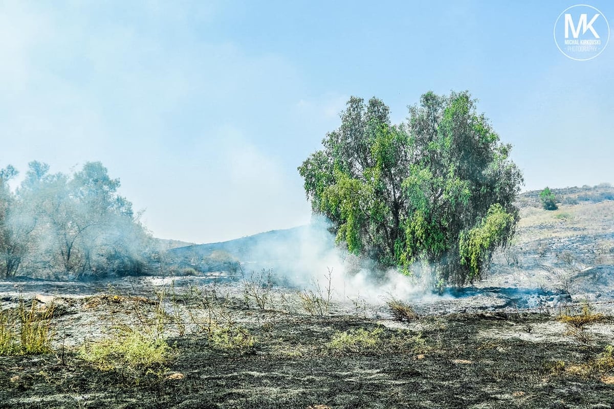 התיעוד העצוב של טרור העפיפונים • צפו