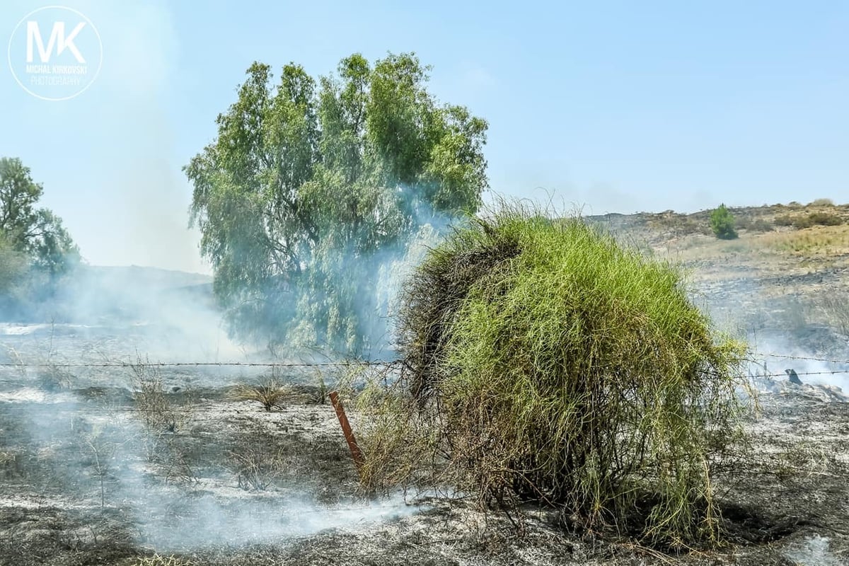 התיעוד העצוב של טרור העפיפונים • צפו