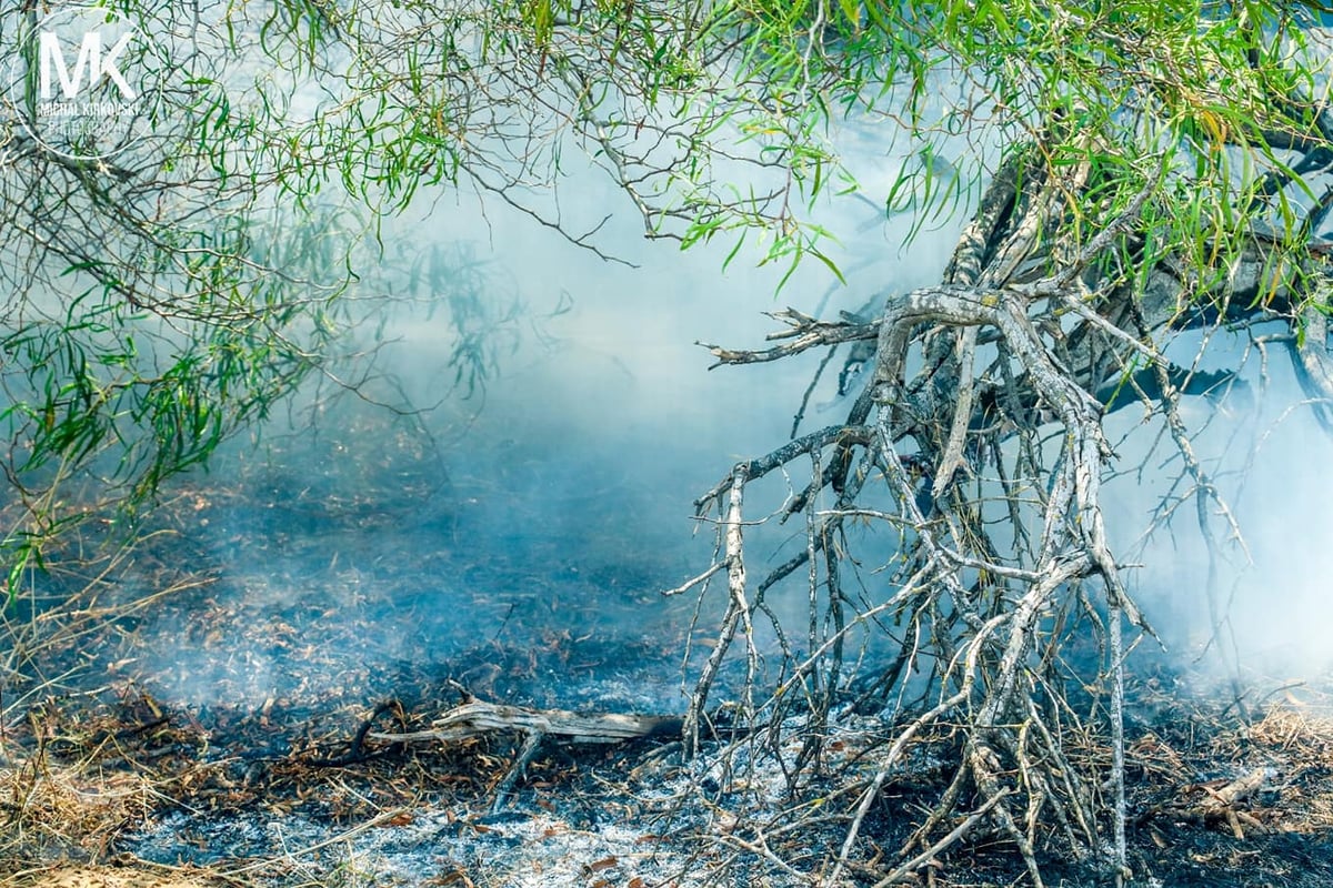 התיעוד העצוב של טרור העפיפונים • צפו