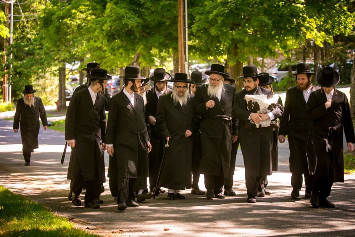 הנופש של האדמו"ר מסאטמר: חברותא וקושיה