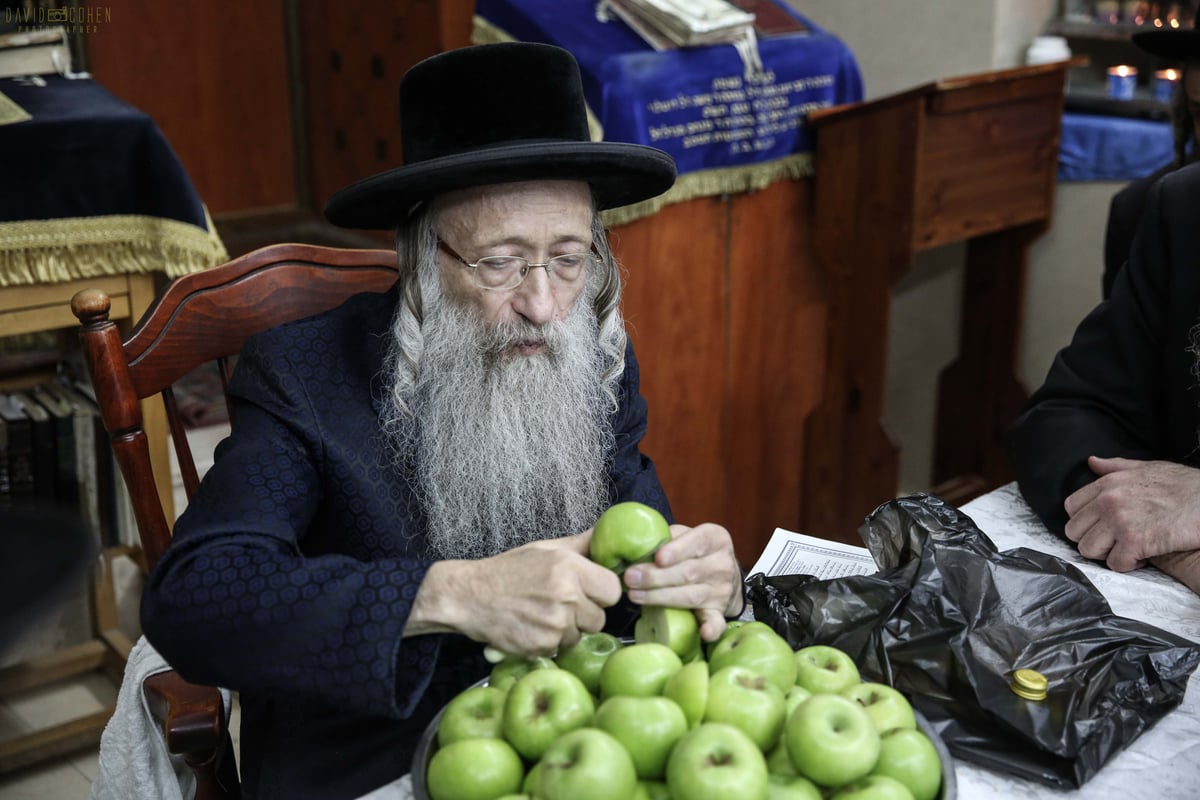 וידאו ותמונות: הילולת האר"י בצפת • צפו