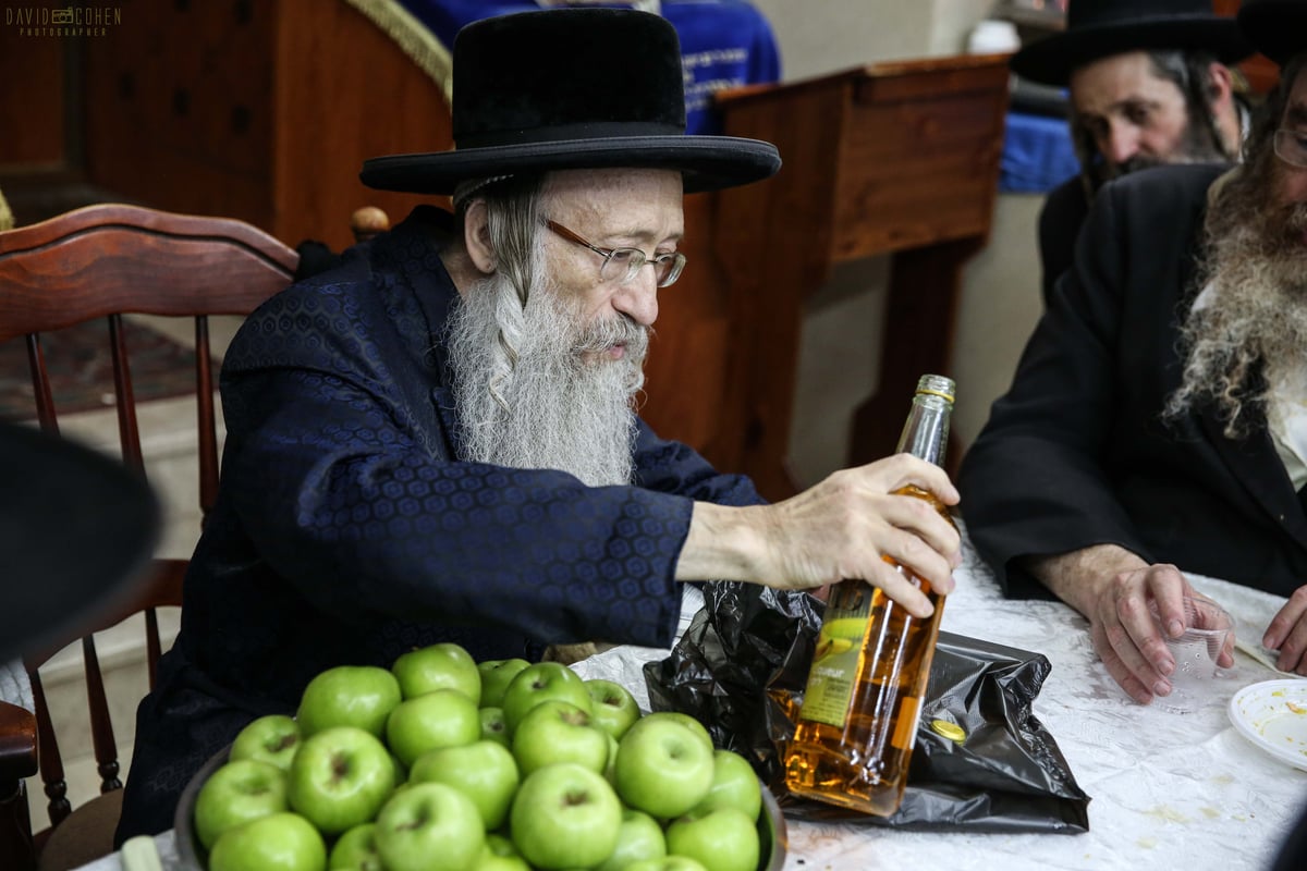 וידאו ותמונות: הילולת האר"י בצפת • צפו