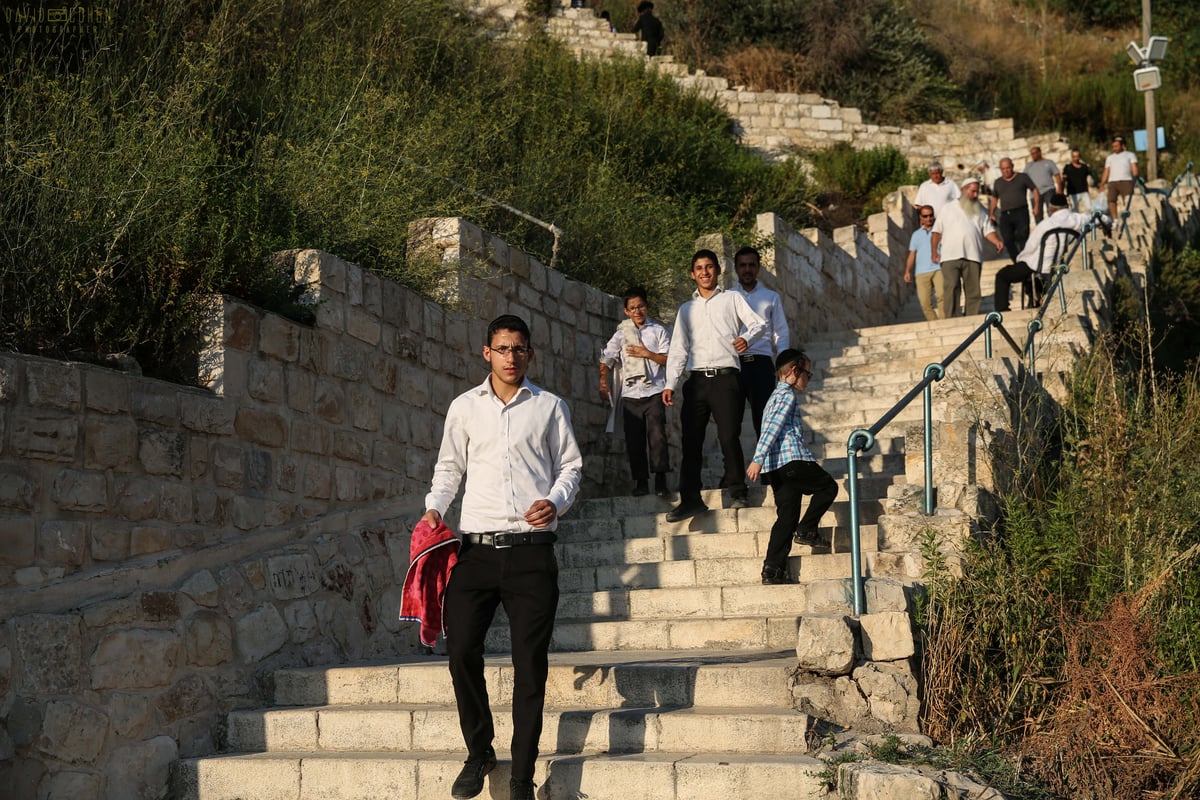 וידאו ותמונות: הילולת האר"י בצפת • צפו